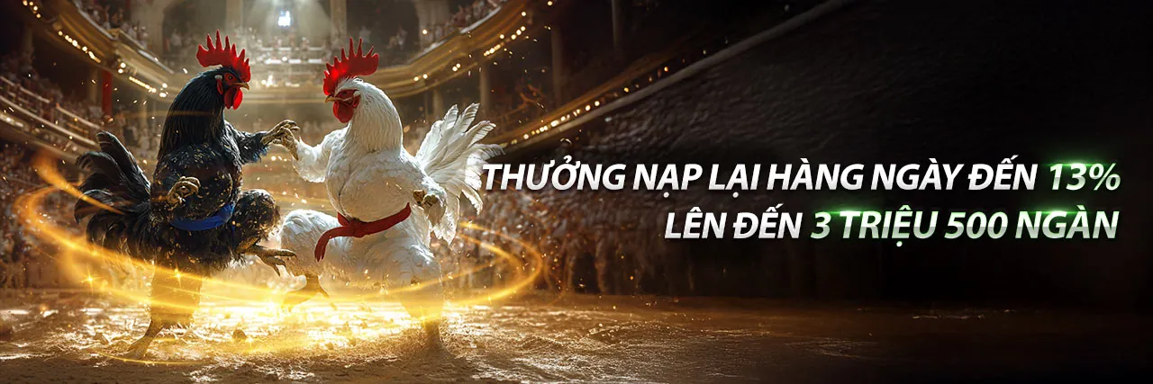 Hình ảnh đại diện cho các điều khoản và điều kiện của mcw88 link mới